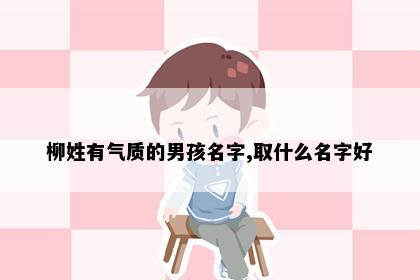 柳姓有气质的男孩名字,取什么名字好