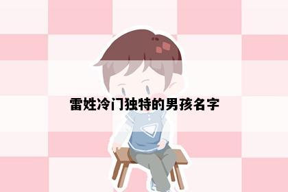 雷姓冷门独特的男孩名字