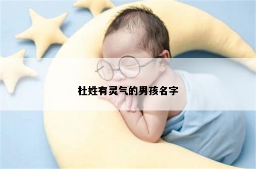 杜姓有灵气的男孩名字