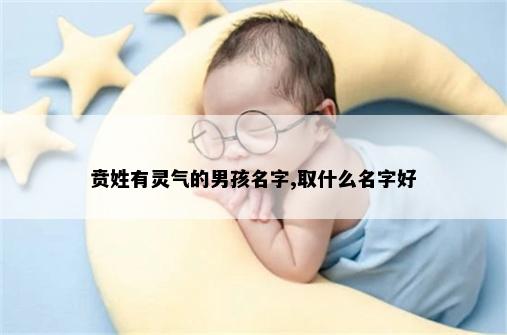 贲姓有灵气的男孩名字,取什么名字好